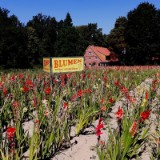 2208F 075 Werre-Braunschweig